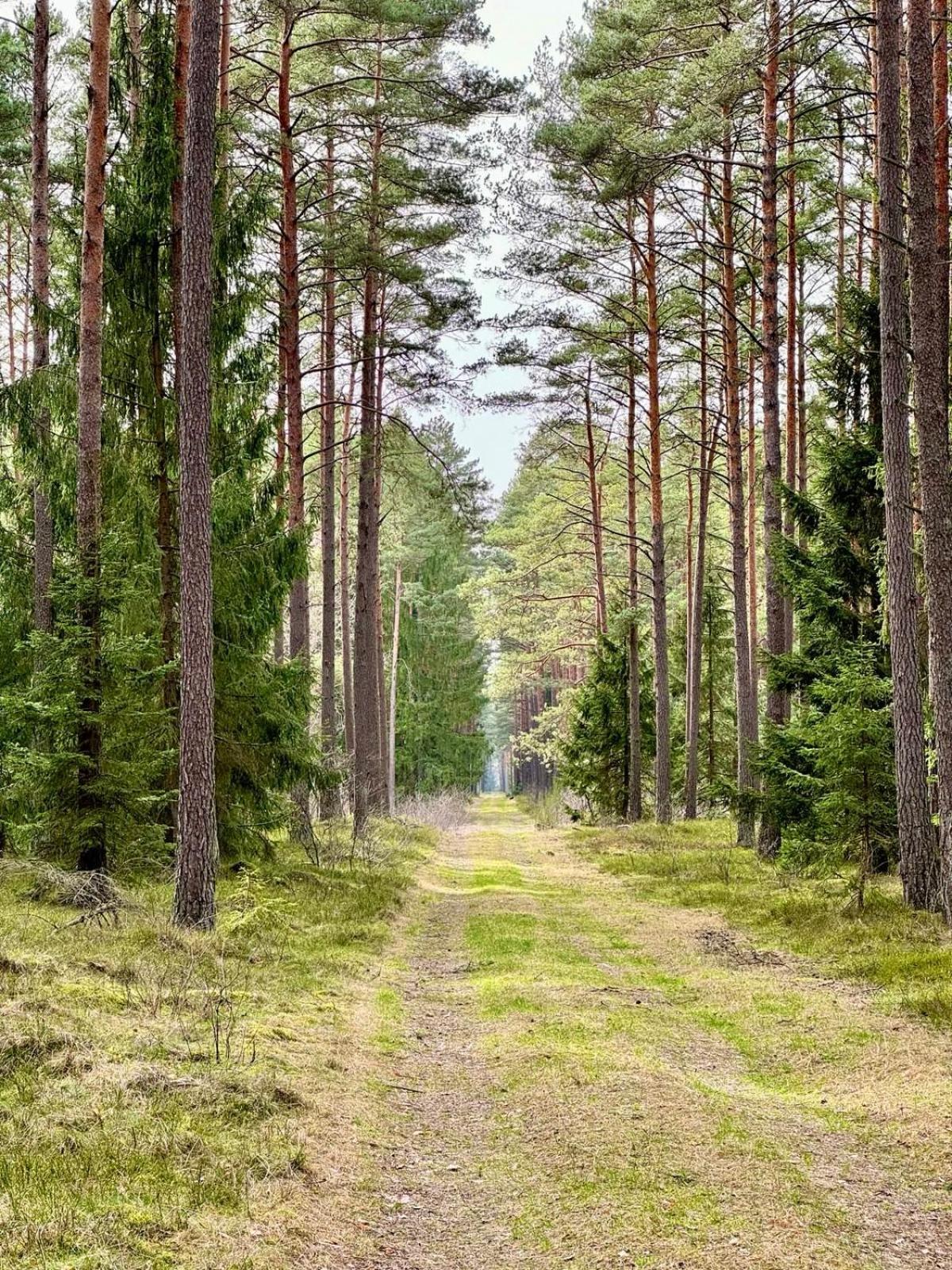 Mazurska Sarenka Villa Wiartel Luaran gambar